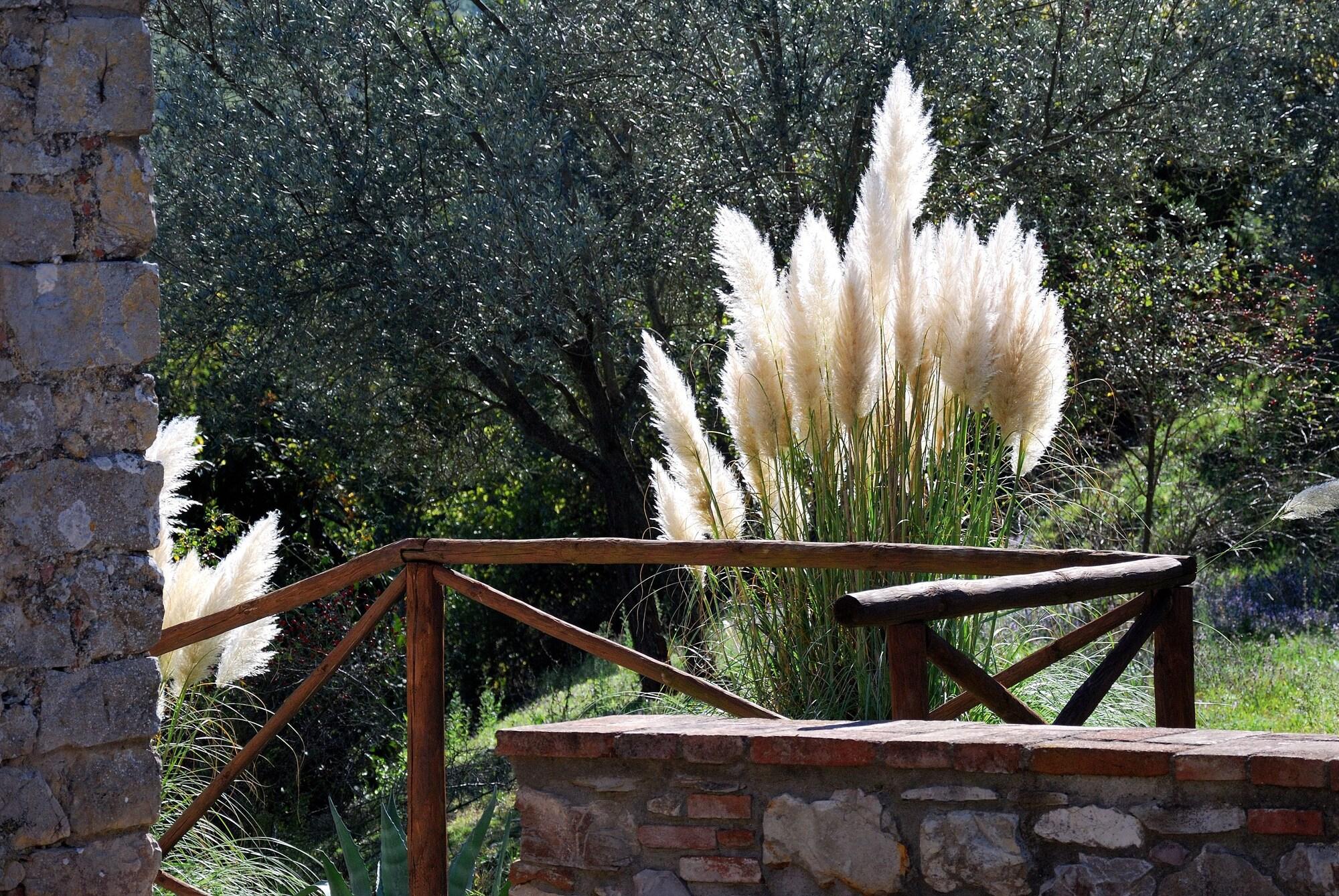 Tenuta Di Ricavo Castellina in Chianti Exterior foto